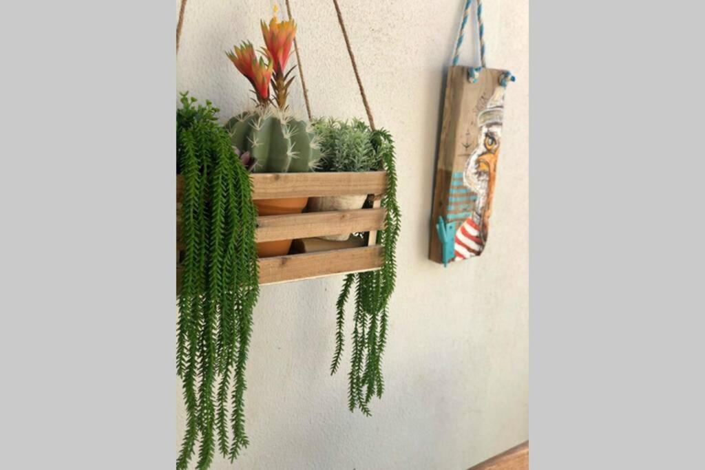 Marea Fuerteventura Home 1 Corralejo Kültér fotó